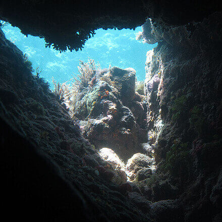 Grotte des Cirri